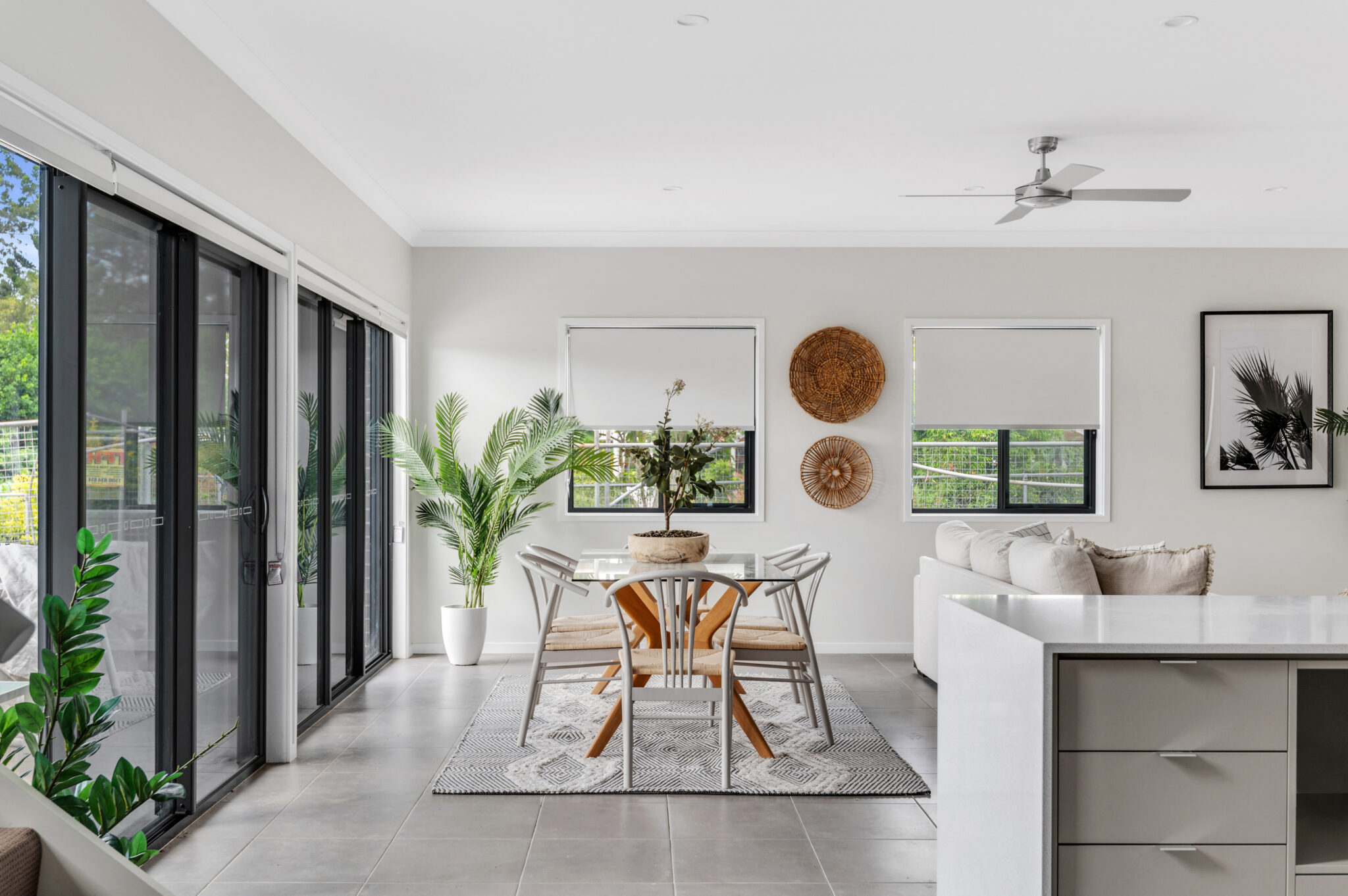 anise_66_1556075504 (1)